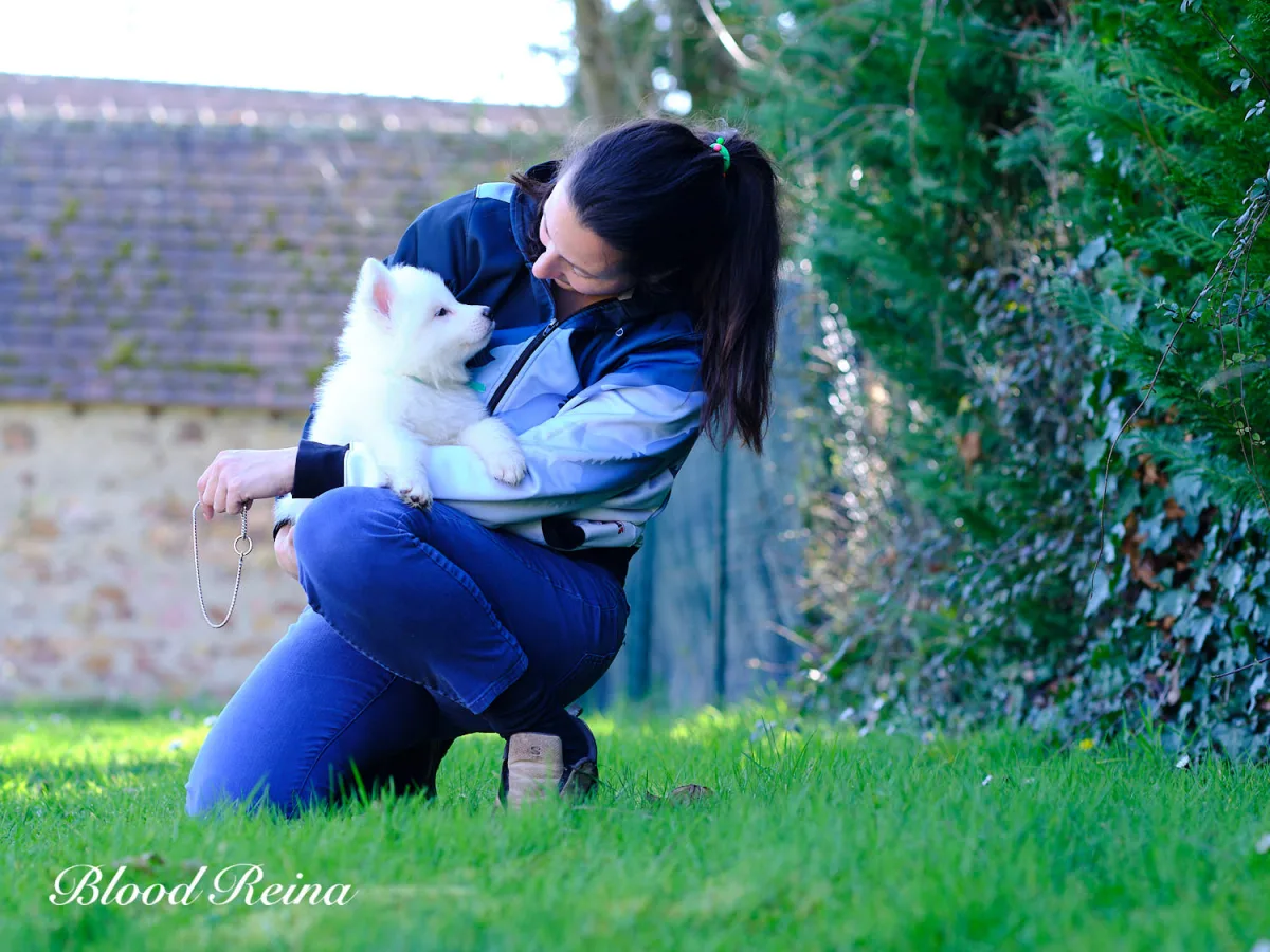 Femme avec son chiot Berger Blanc Suisse dans un jardin verdoyant, illustrant le caract&egrave;re familial et affectueux de cette race de berger